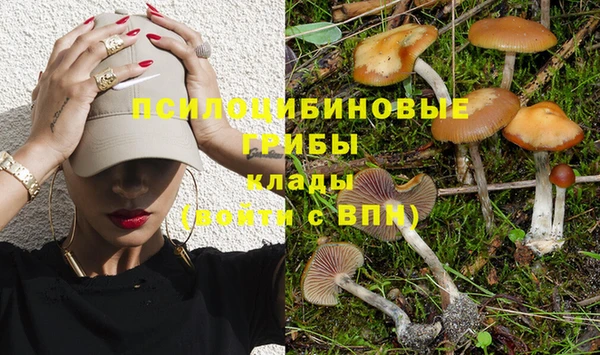 твердый Дмитриев