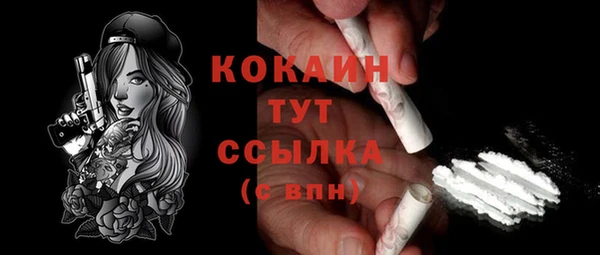 мет Дмитров